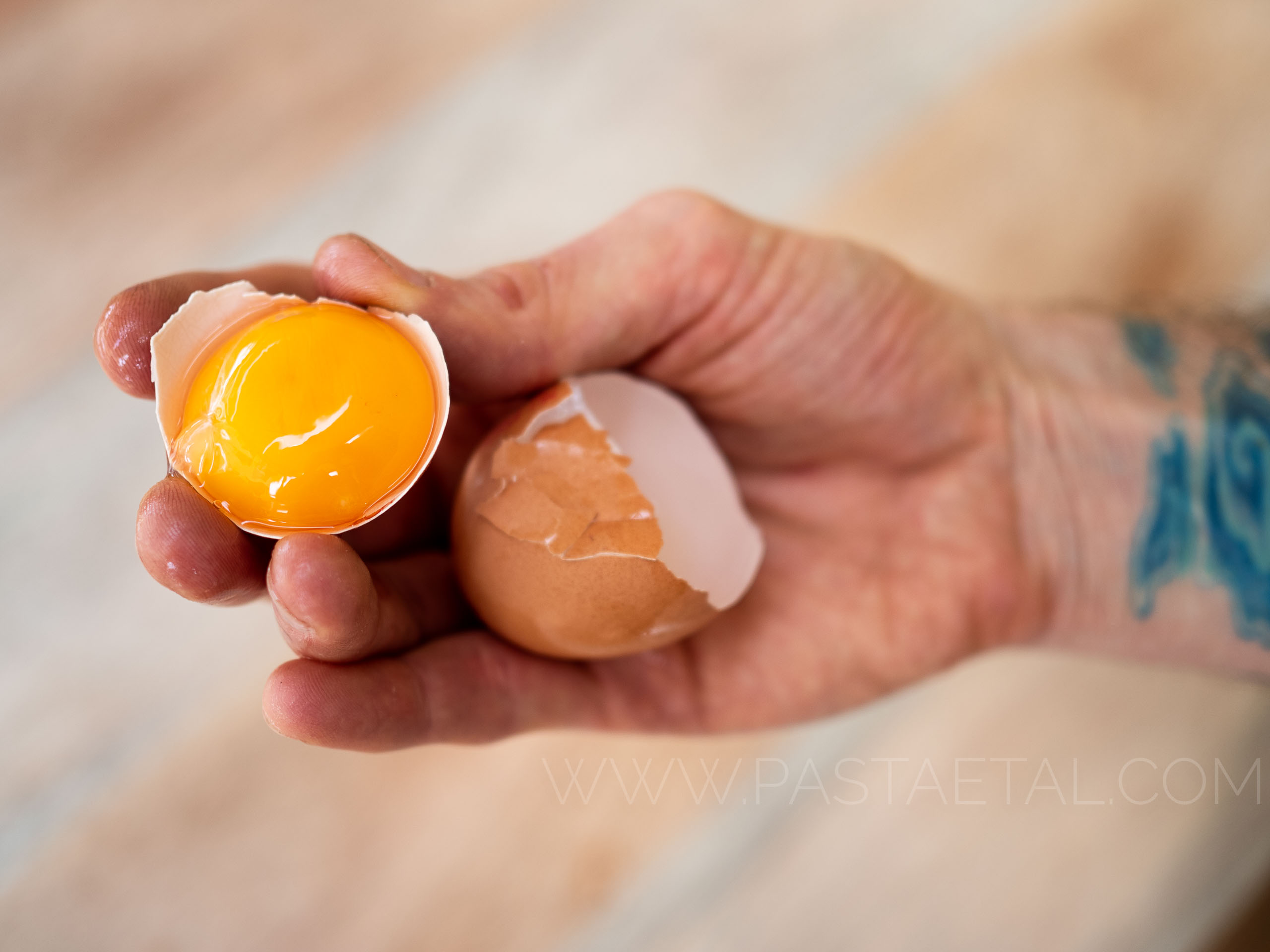 https://pastaetal.com/wp-content/uploads/2020/05/blog-egg-yolk-separated-in-shell-held-in-a-hand.jpg