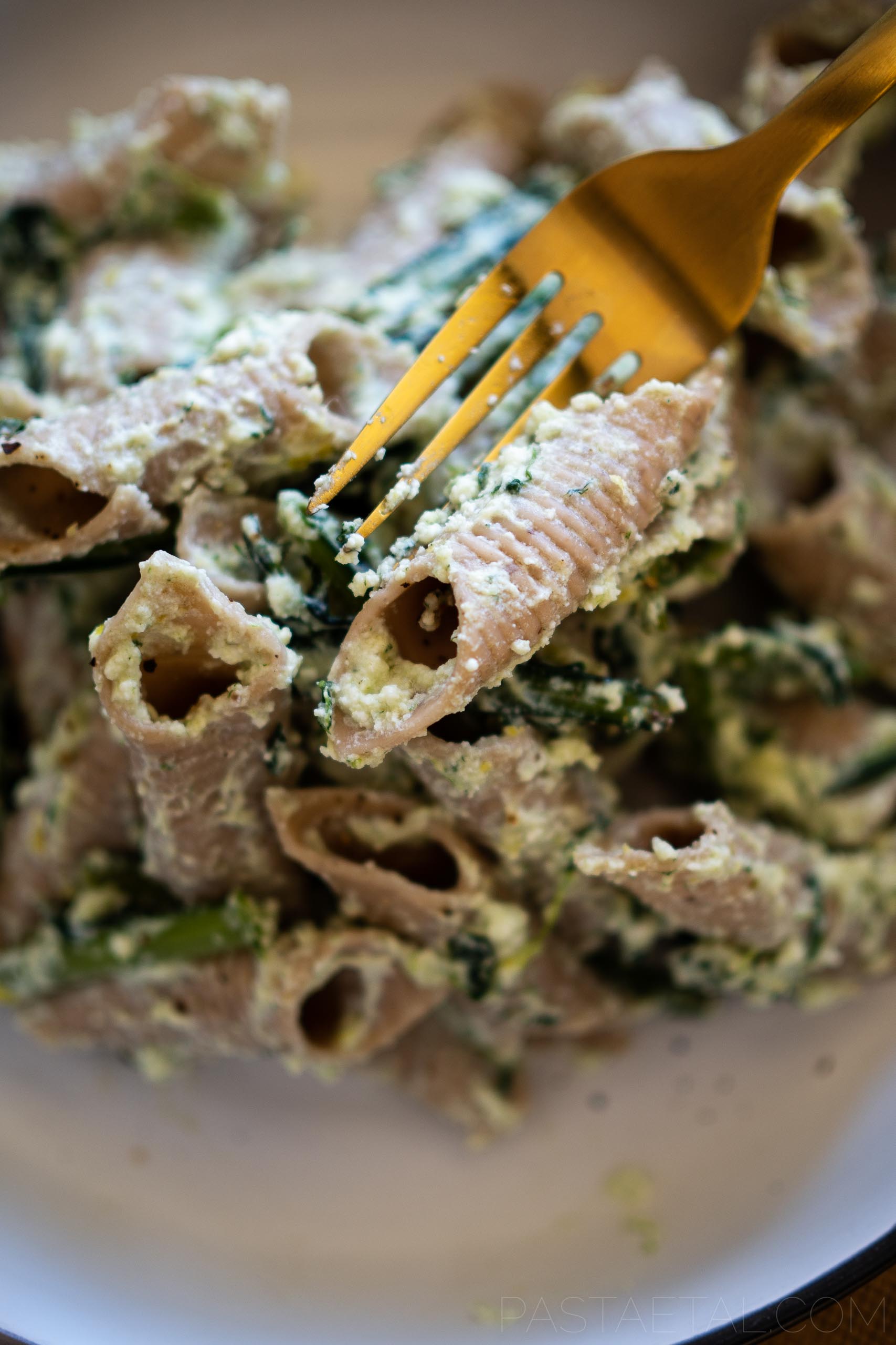 https://pastaetal.com/wp-content/uploads/2022/01/close-up-of-sumac-garganelli-with-ricotta-chicory-spinach-sauce-pasta-et-al.jpg